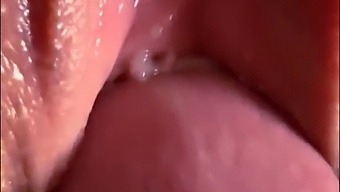 我和一个陌生人做爱,让他在我伴侣出场时射精在我体内